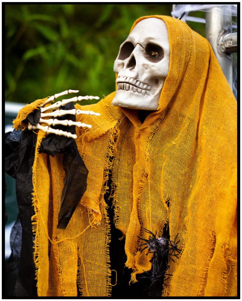 Association Halloween la Côte